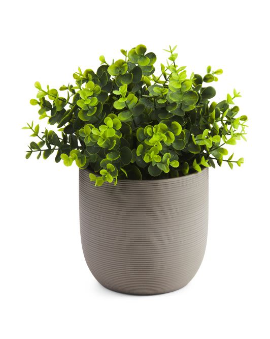 12in Faux Eucalyptus In Ceramic Pot | TJ Maxx