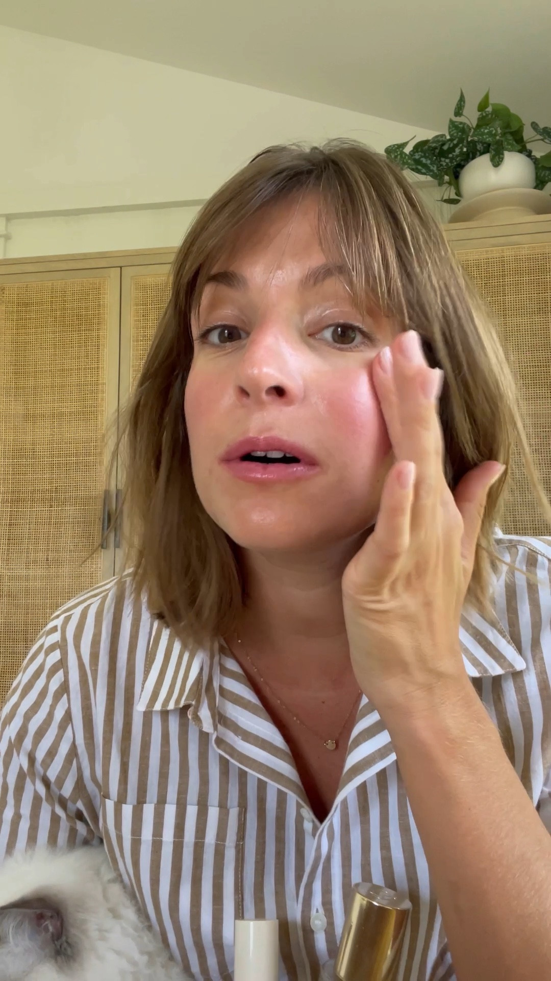 My Merit Favorites! 
Blush - Beverly Hills & Apres 
Minimalist stick - bisque 
Signature lip - millennial 
Day glow - cava 

#LTKbeauty #LTKeurope #LTKunder50