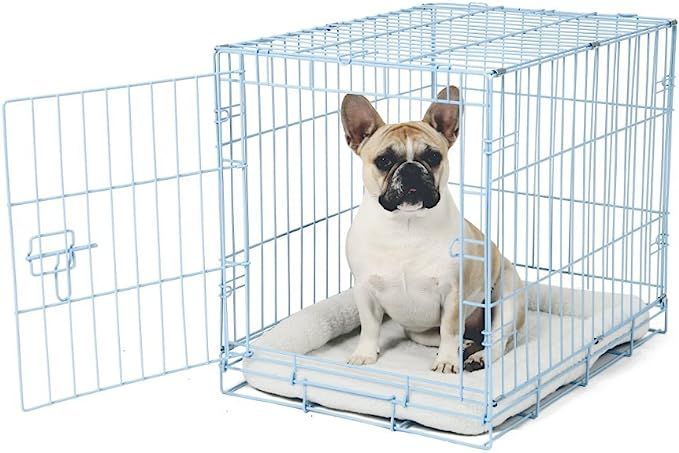Carlson Blue Secure and Compact Single Door Metal Dog Crate, Small | Amazon (US)