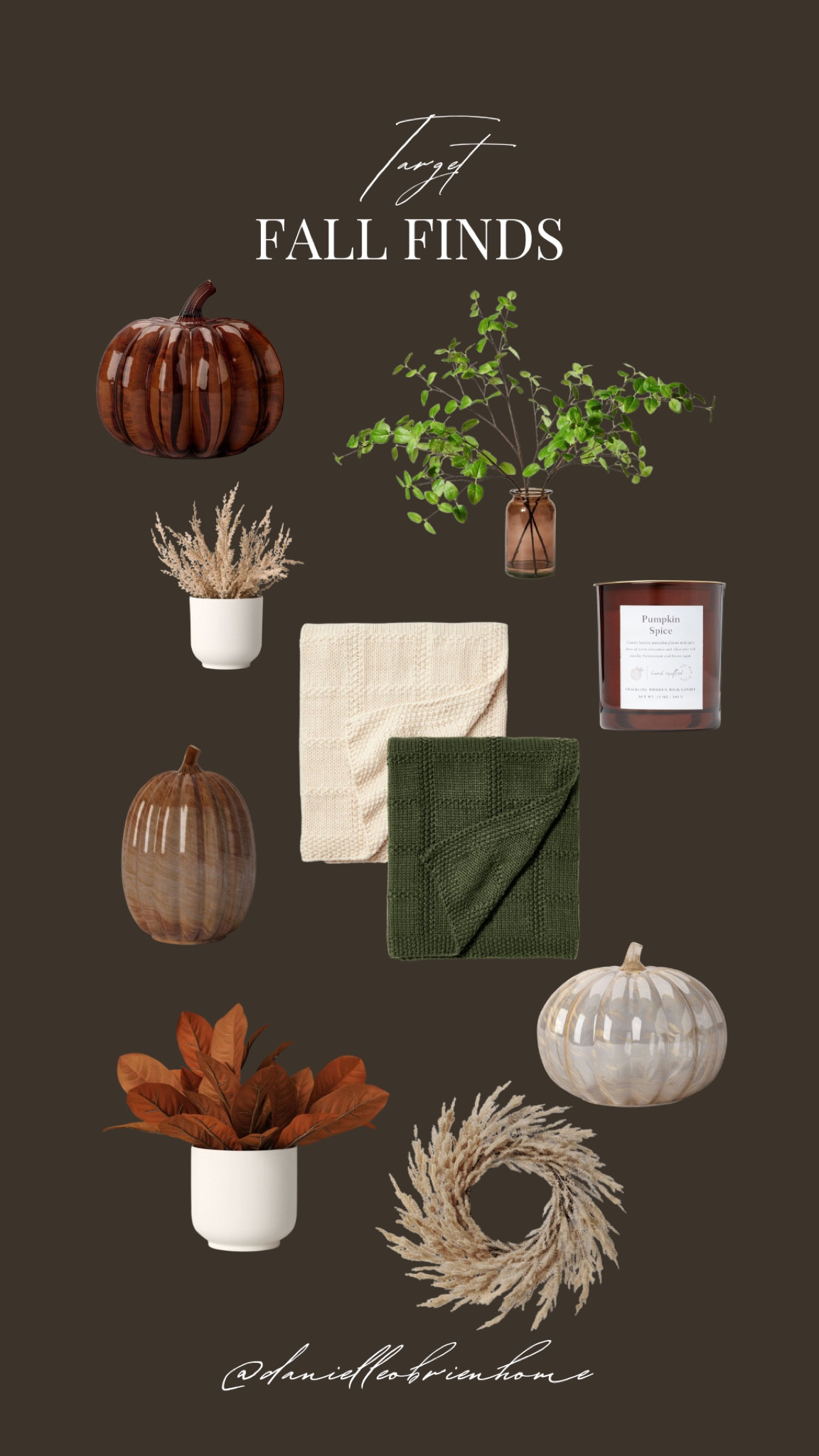 Fall decor from target! 

Glass pumpkins, fall candles, fall throws, fall stems, fall arrangement, seasonal finds, home decor, home

#LTKSeasonal #LTKhome #LTKfindsunder50