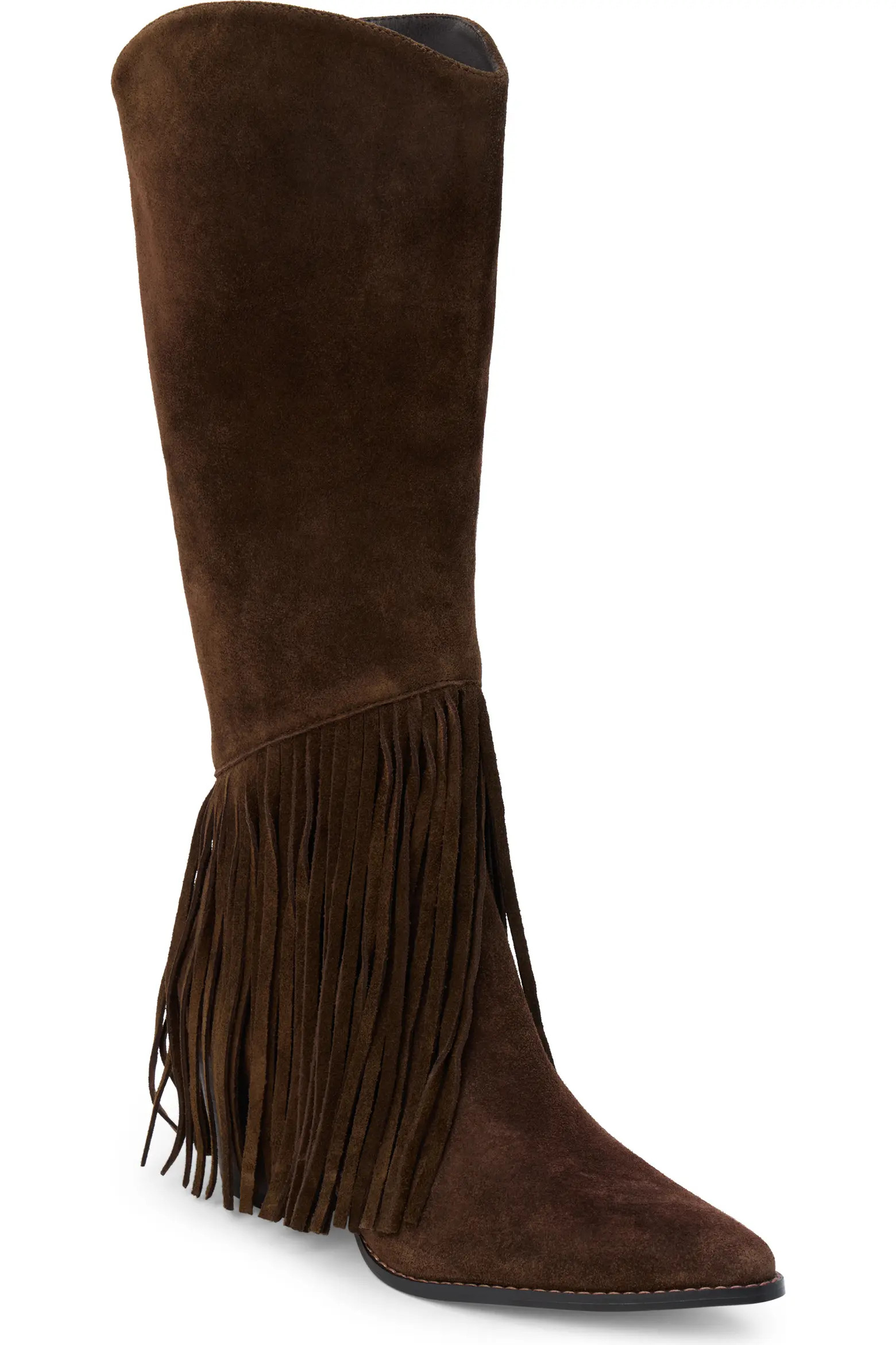 Tatum Fringe Pointed Toe Knee High Boot (Women) | Nordstrom | Nordstrom