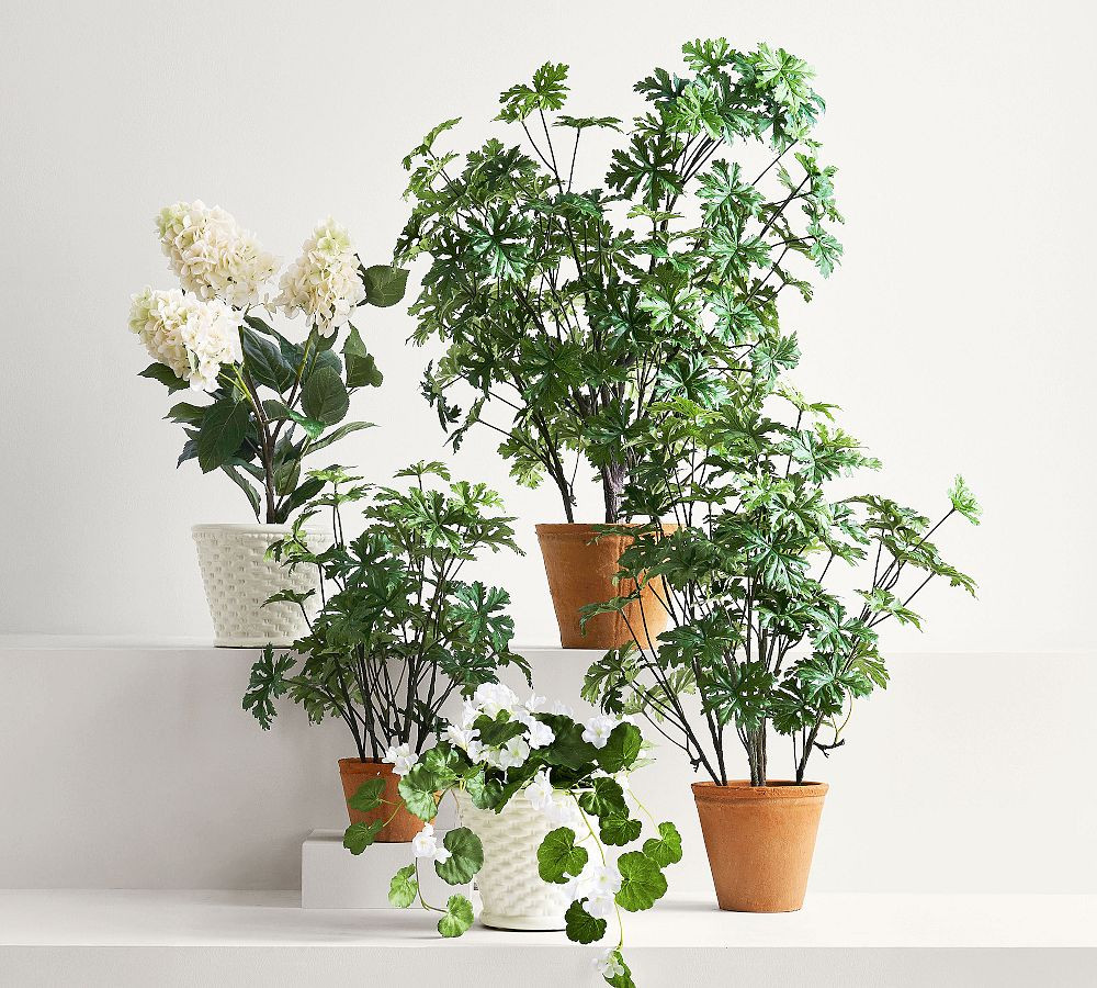 Faux Potted Geranium | Pottery Barn (US)