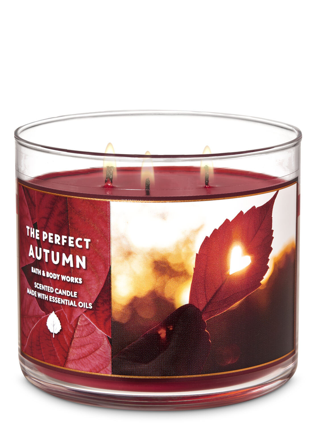 The Perfect Autumn 3-Wick Candle | Bath & Body Works