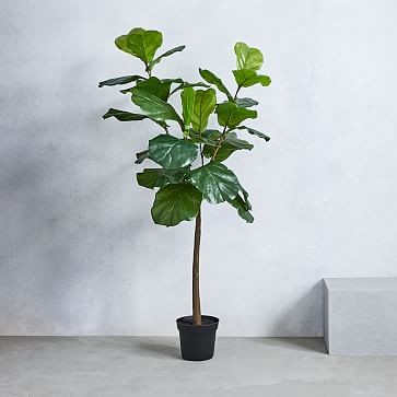 Faux Fiddle Leaf Fig Plant | West Elm (US)