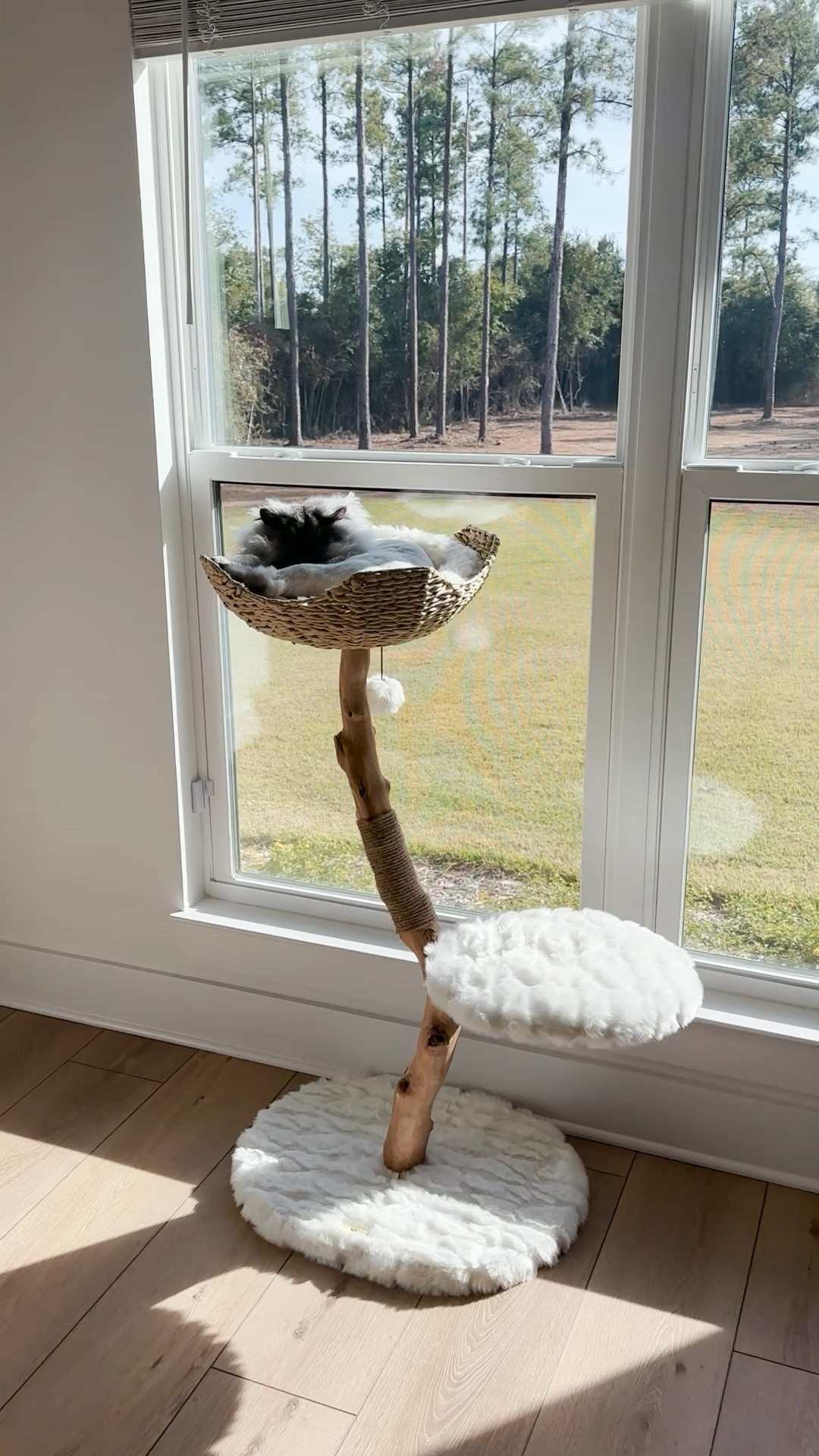 My cat loves his bed! It’s cute AND comfy. ☺️

#LTKhome #LTKfamily #LTKHoliday