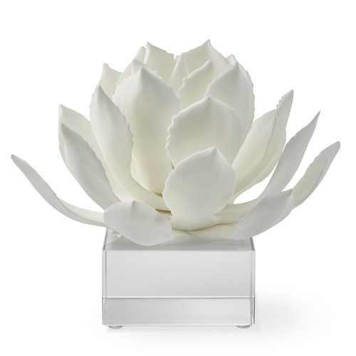 White Agave On Acrylic Stand, Large | Williams-Sonoma