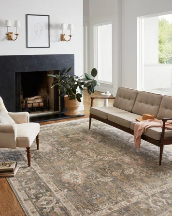 Chris Loves Julia x Loloi Rosemarie Oriental Sage/Blush Area Rug | Wayfair North America