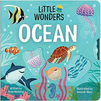 Little Wonders OCEAN — Introduction to the Ocean Multi-Activity Children's Board Book Including... | Amazon (US)