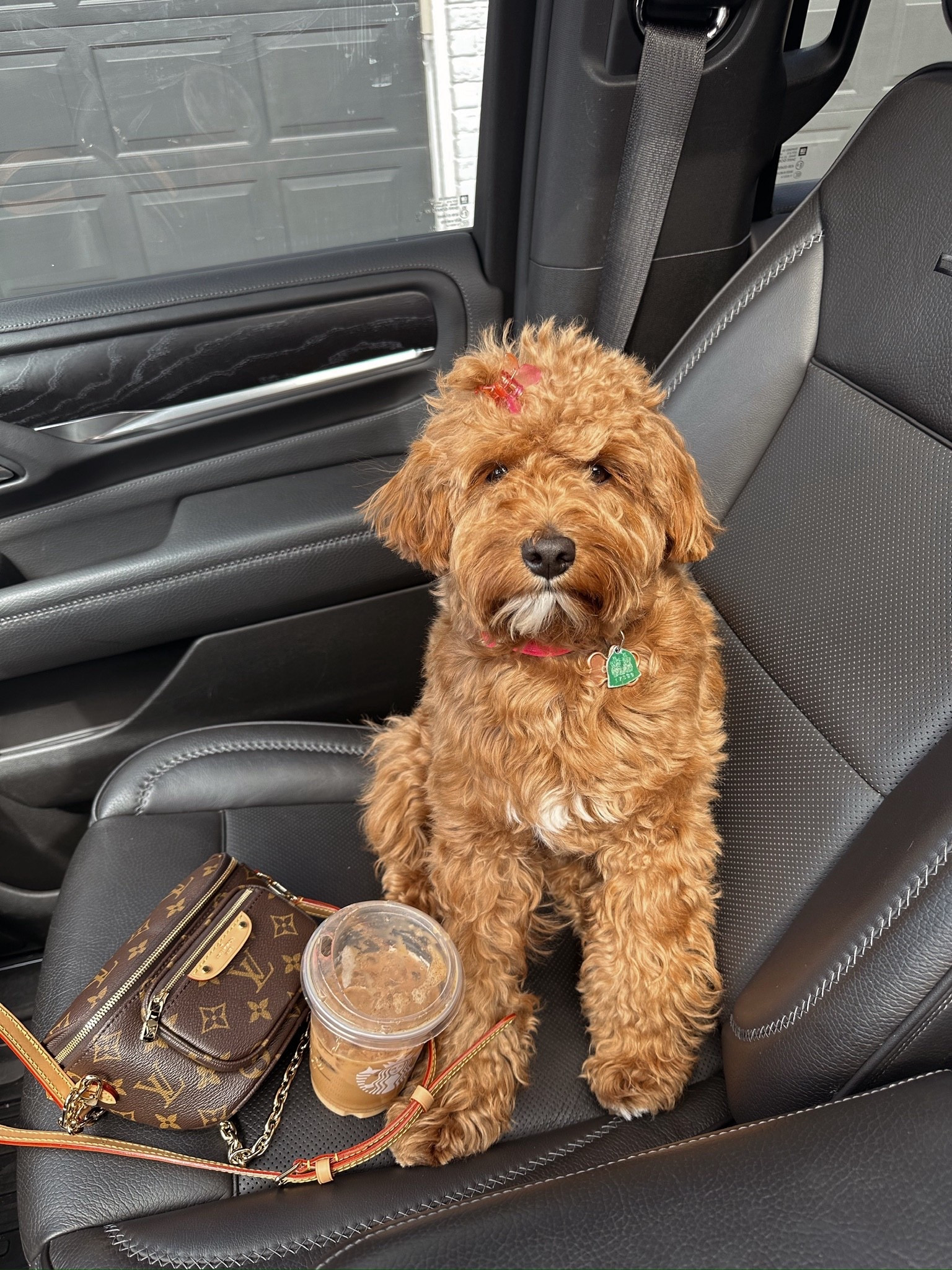 Favorite bag lately 😍

#LTKSeasonal #LTKStyleTip #LTKItBag