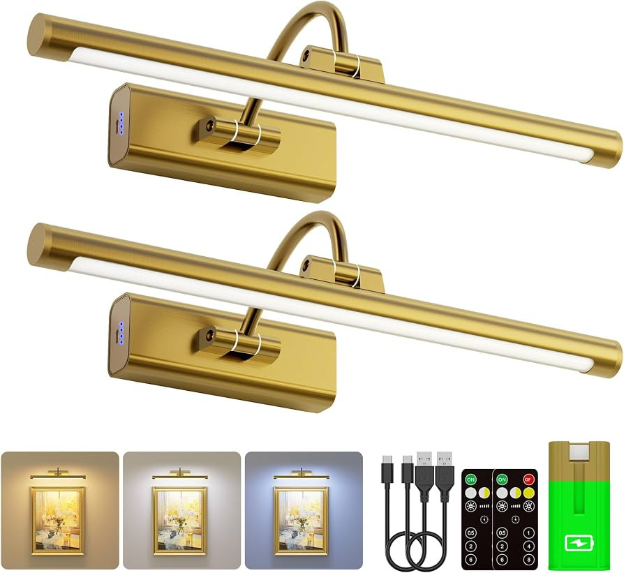 16" Art Lighting for Paintings with 1pcs Extra 6000mAh Battery - 2 Pack Wireless Dimmable Wall Mo... | Amazon (US)