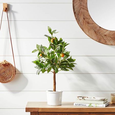Faux orange tree, the perfect way to begin adding pops of spring into our homes! 

#LTKFind #LTKhome #LTKstyletip