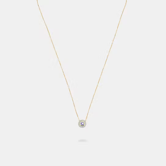 Semiprecious Crystal Necklace | Coach (US)