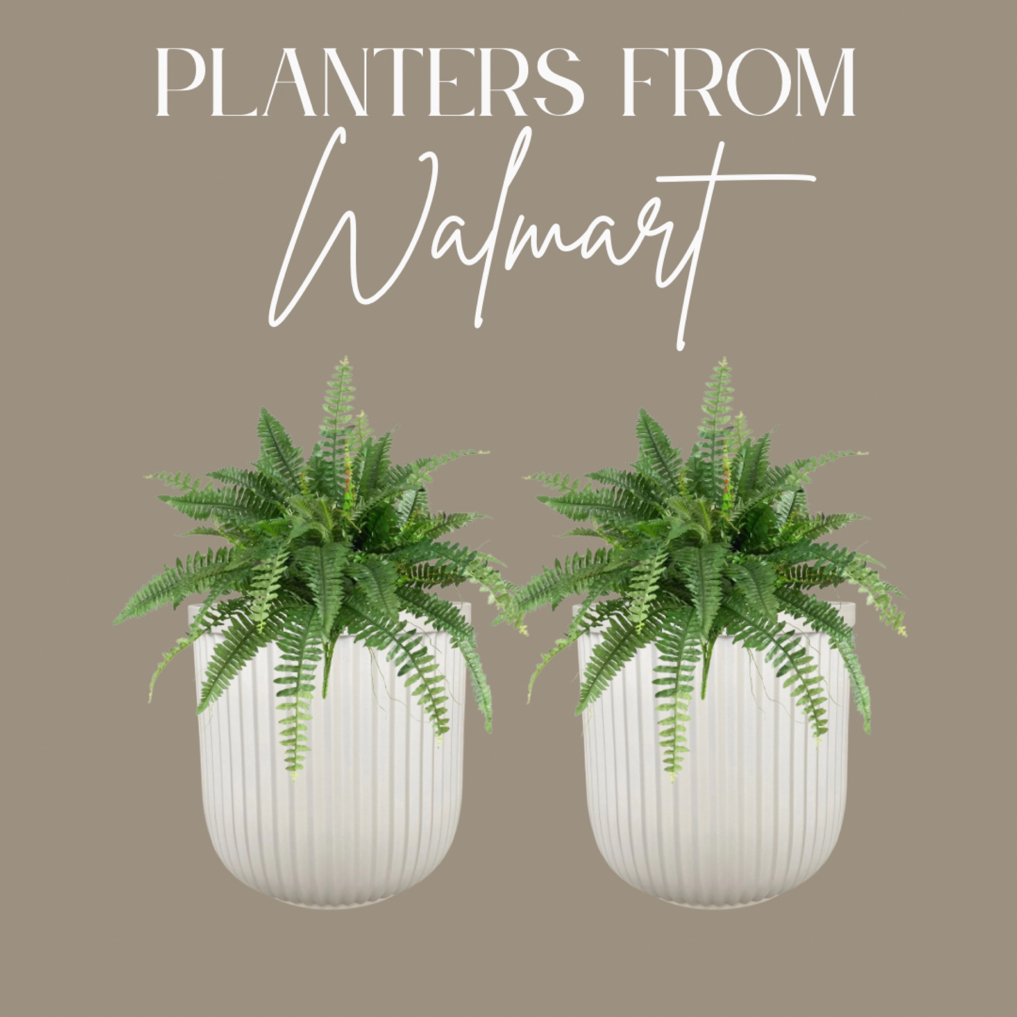 I’m so happy with these large planters from Walmart. High end look for less! 
Flower pots, front porch, outdoor, patio, decor, ferns, flowers, spring, summer

#LTKSeasonal #LTKfindsunder50 #LTKhome