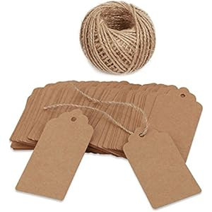 100 PCS Kraft Paper Tags with String Blank Tags Vintage Wedding Favor Hang Tags with 100 Feet Nat... | Amazon (US)