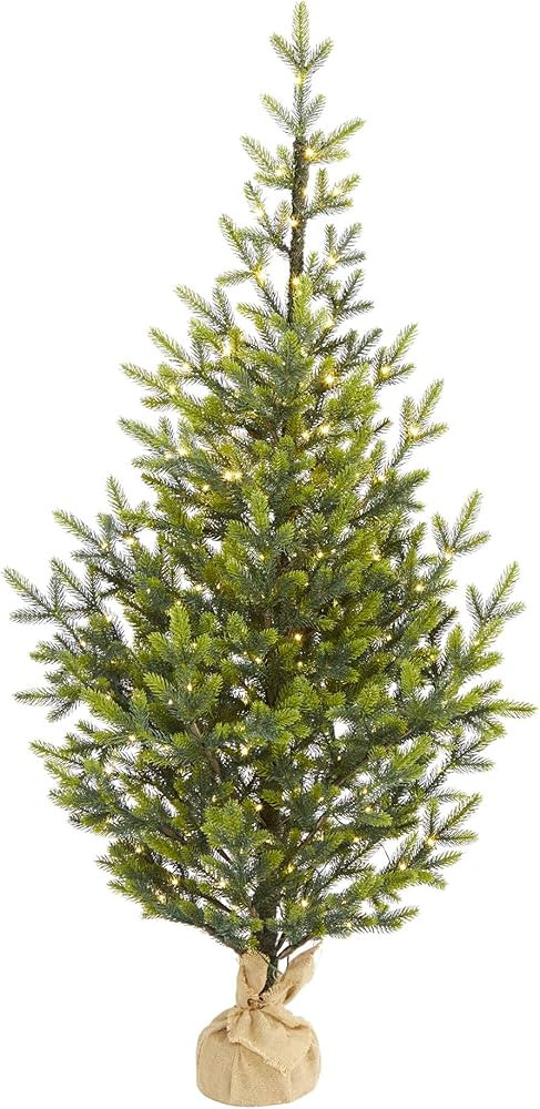 Nearly Natural 5ft. Fraser Fir Natural Look Artificial Christmas Tree with 200 Clear LED Lights, ... | Amazon (US)