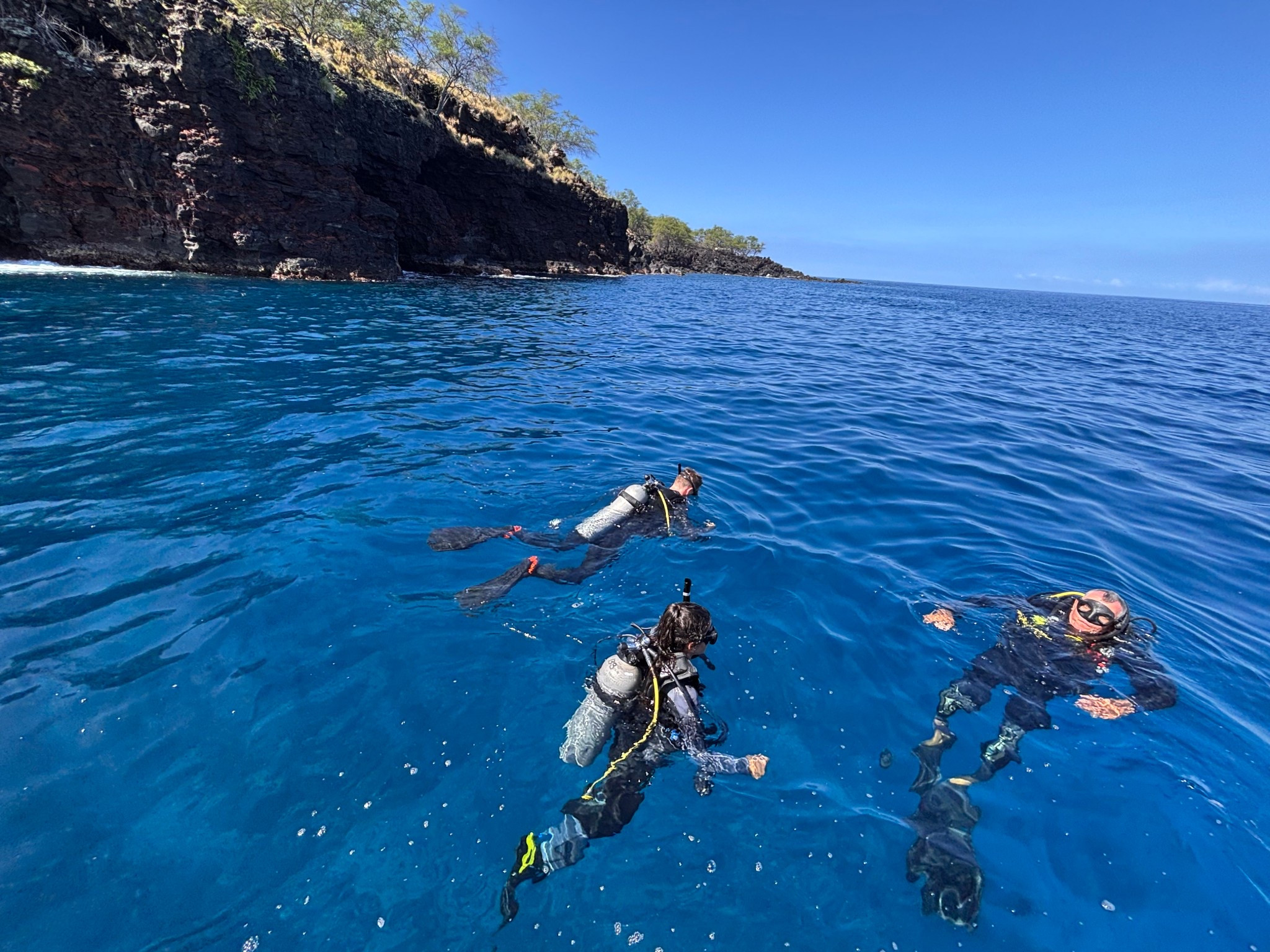 Just took the plunge—literally! Learning to scuba dive has opened up a whole new world, and now I’m hooked. Can’t wait to explore more underwater corners of the planet! 🌎 🤿 🐠 

#LTKTravel