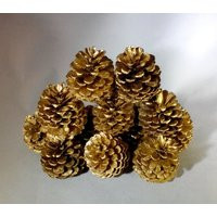 Bright Gold Hand Painted Pine Cones | Etsy (US)