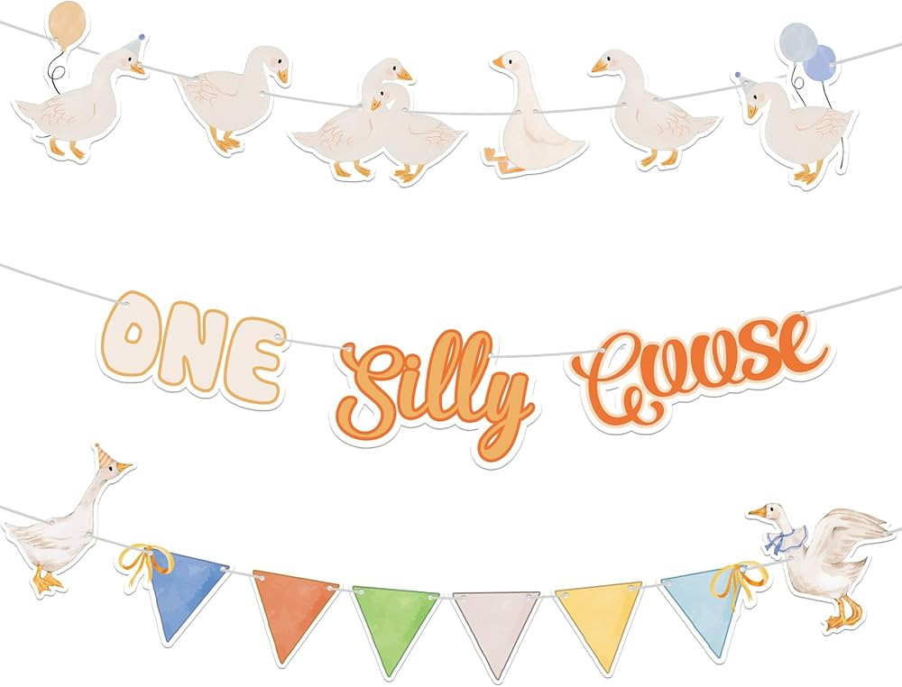 One Silly Goose Birthday Decoration - Farm Animal Party Banner, Pastel Baby Shower Garland | Amazon (US)