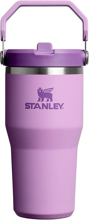 Stanley IceFlow 2.0 Flip Straw Tumbler with Handle 20 oz | Twist On Lid and Flip Up Straw | Leakp... | Amazon (CA)