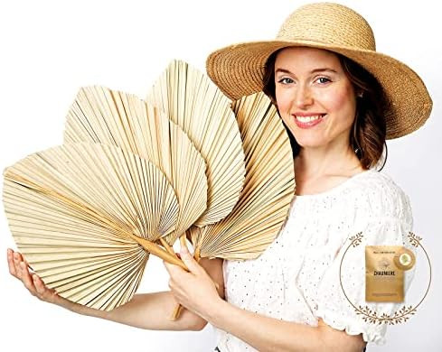 4pcs Large 18" x10" Natural Trimmed Dried Palm Leaves, Dried Palm Spear, Home Boho Wedding Decor,... | Amazon (US)