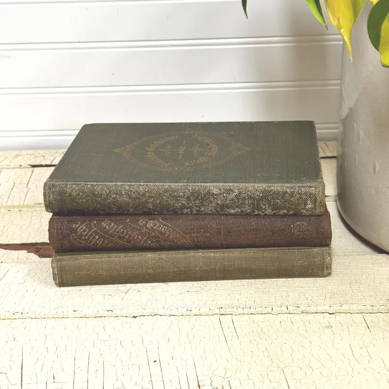 Antique German Bible Books- Choice of Illustrated Old Bibles 1882 - Etsy | Etsy (Global)