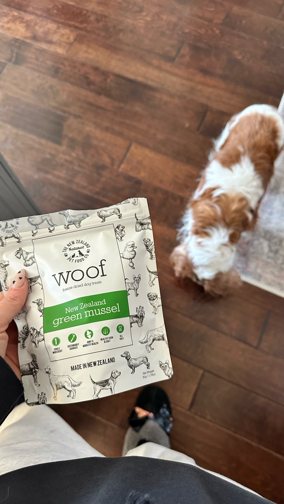 Grace Kelly is OBSESSED with these!! 

#LTKstorytime #LTKHome