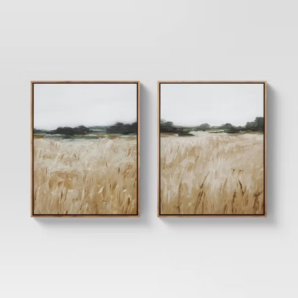 (Set of 2) 16" x 20" Grassy View Framed Canvas - Threshold™ | Target