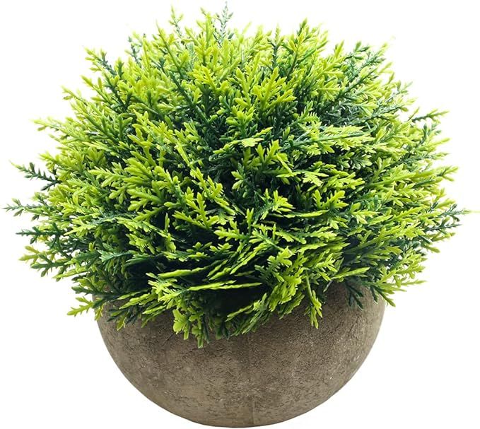 Svenee Mini Fake Cypress Cedar Plants for Bathroom Home Office Desk Decor, Small Artificial Faux ... | Amazon (US)