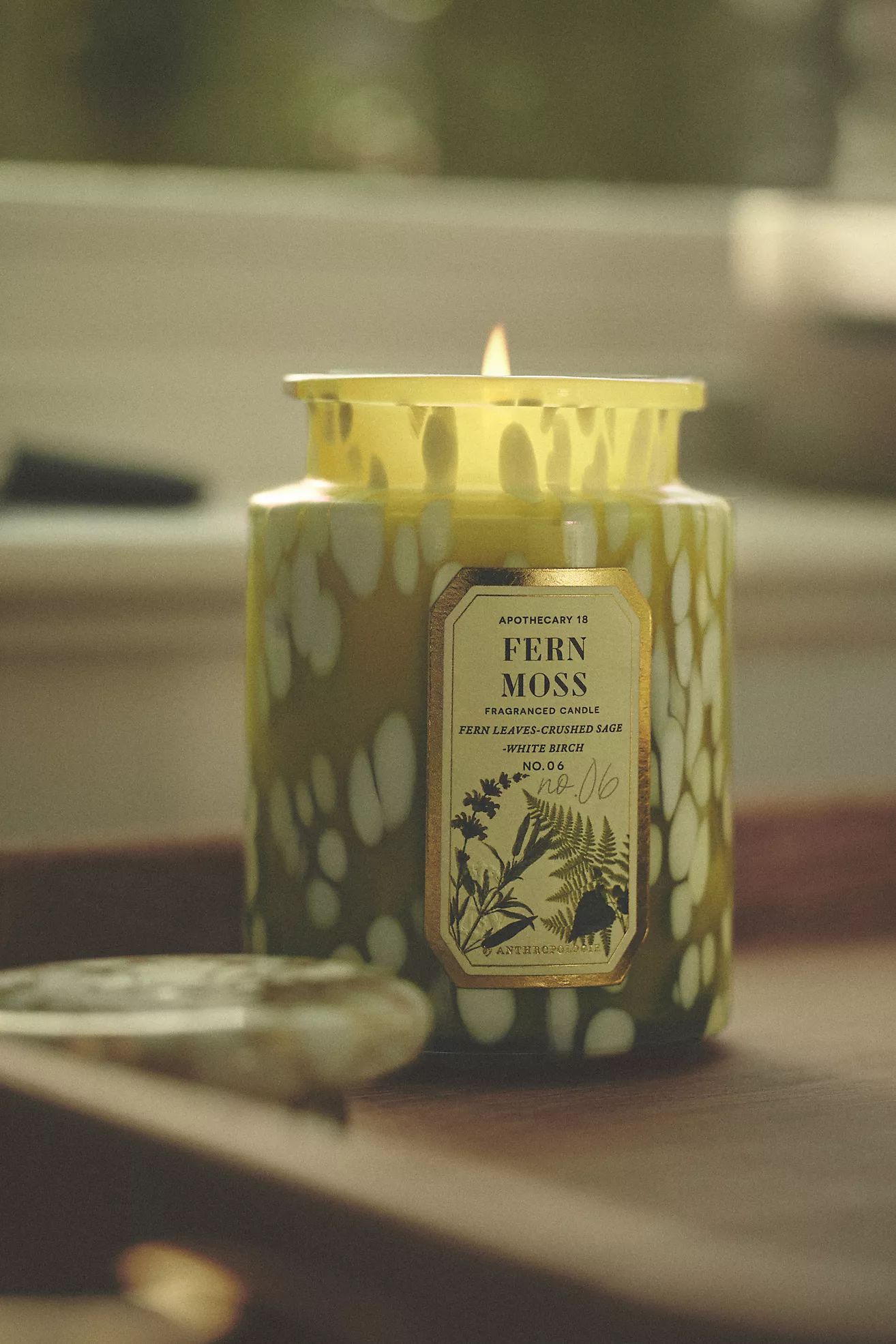 Apothecary 18 Fresh Fern Moss Glass Jar Candle | Anthropologie (US)