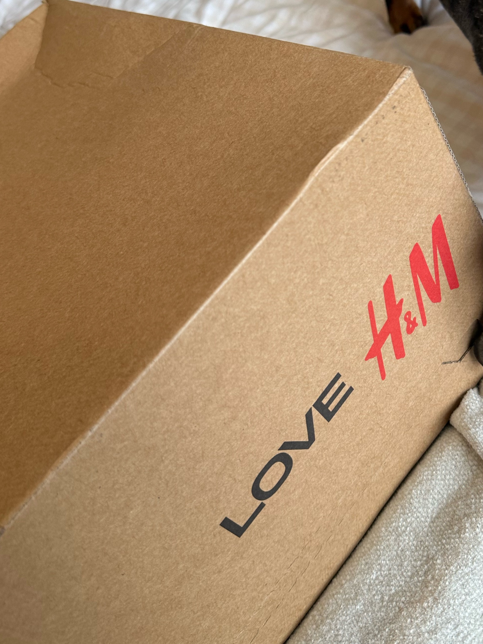 H&M Autumn & Baby Haul 🍁👶🏼 

#LTKautumn #LTKbaby #LTKmaternity