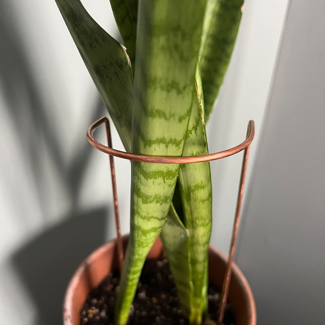 Copper Crescent Plant Stake, Half Hoop Plant Stand, Garden Plant Support, Garden Gift, Leaning Pl... | Etsy (US)