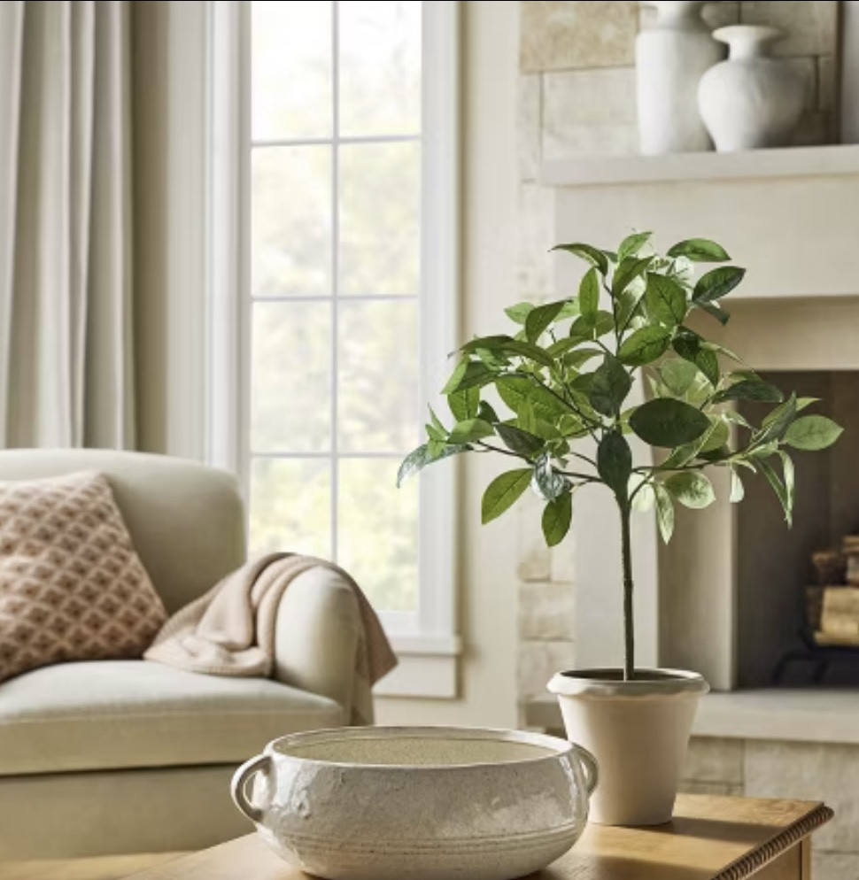 Faux Mini Tree

This faux mini tree from threshold is perfect for a coffee table, built ins or any space that needs a pop of color! 

#LTKautumn #LTKFindsUnder50 #LTKHome