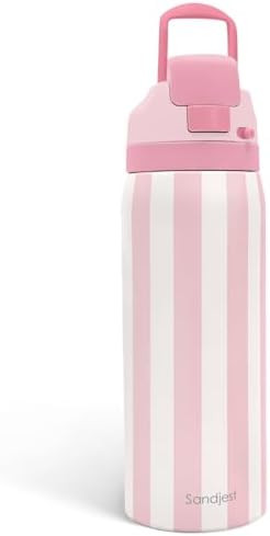 Stripe Insulated Stainless Steel Water Bottle with Straw, Push-Button Lid, 32 Ounce, Gifts for Wo... | Amazon (US)