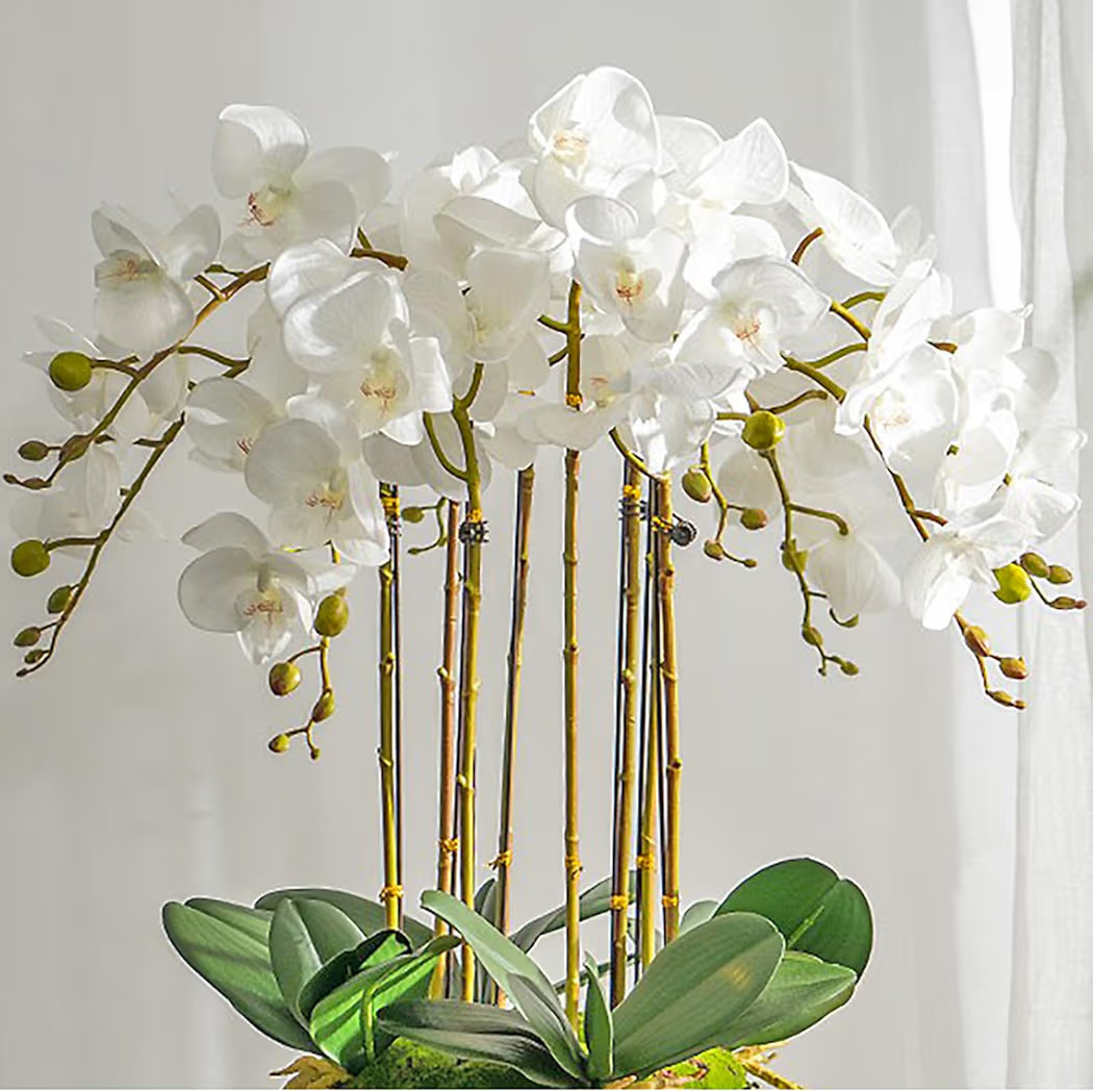 Artificial Orchid Plant, 35 Inch 4 Pcs Phalaenopsis Flowers with Leaves, Real Touch Orchid Stems ... | Amazon (US)