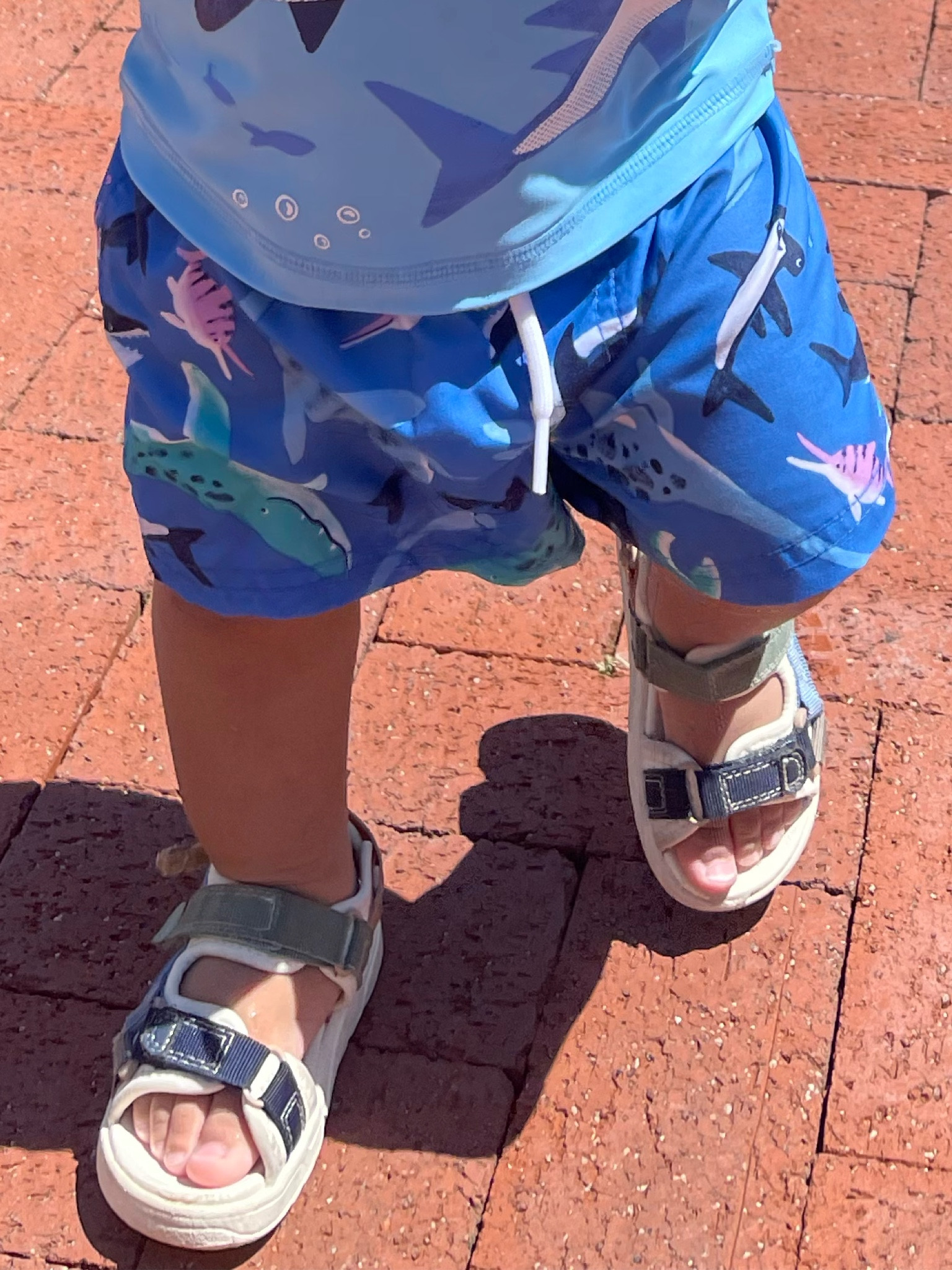 Baby boy summer sandals 



#LTKswim #LTKkids #LTKbaby