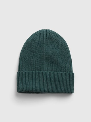 Organic Cotton Ribbed Beanie | Gap (US)