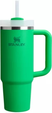 Stanley 30 oz. Quencher H2.0 FlowState Tumbler | Dick's Sporting Goods