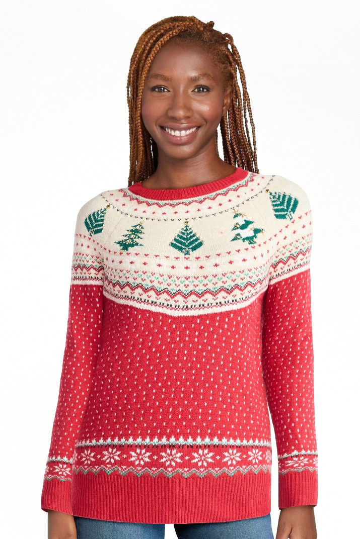 Holiday Time Women's & Women's Plus Pretty Christmas Sweater, Sizes XXS-4X | Walmart (US)