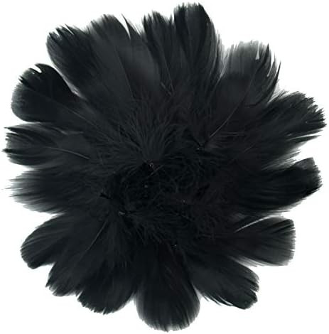 HaiMay 450 Pieces Black Feathers for Craft Wedding Home Party Decorations, 3-5 Inches Black Craft... | Amazon (US)