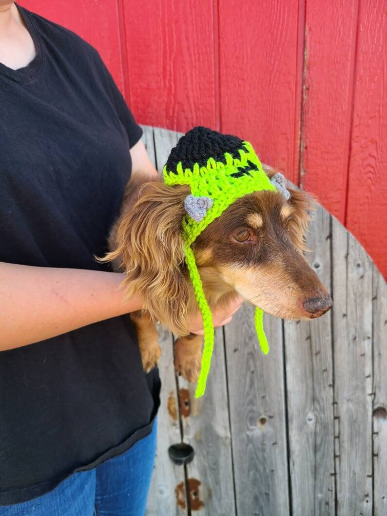 Halloween Dog Hat/ Frankenstein Hat/ Cat Hat/ Pet Hat/ Crochet - Etsy | Etsy (US)
