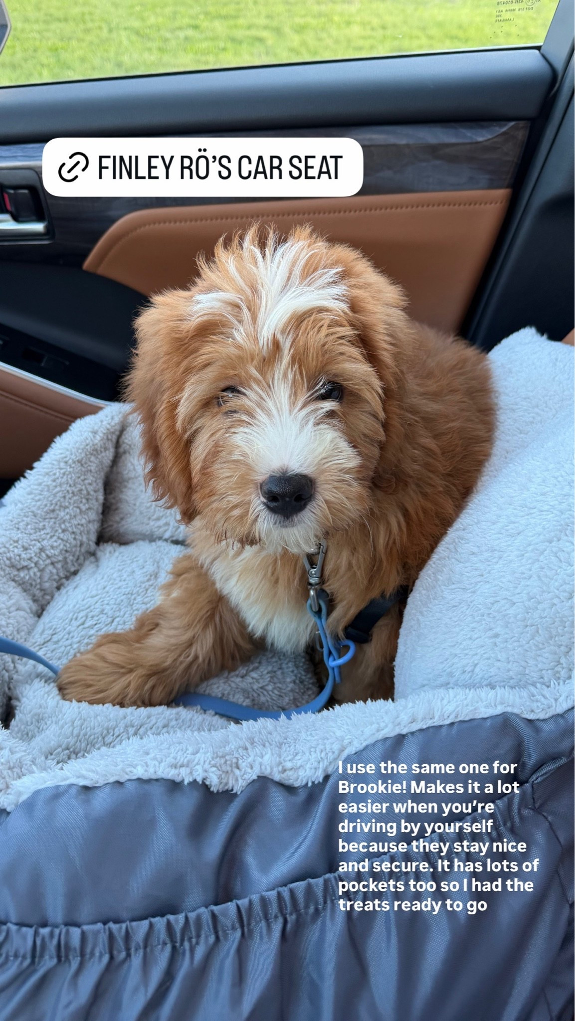 The car seat that I use for my dogs!
