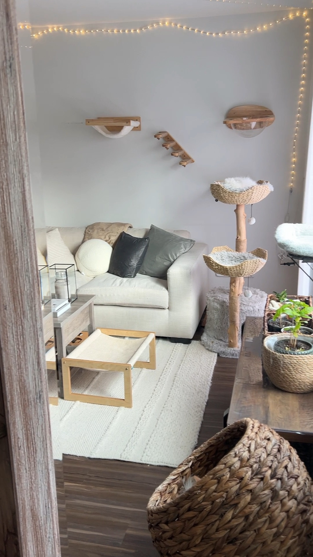 Currently loving the beige, gray, and white color palette in my living room! Featuring wicker and rattan accents, modern cat furniture, neutral home decor, aesthetic throw pillows, and a few house plants 🪴🤍

#LTKU #LTKhome #LTKVideo