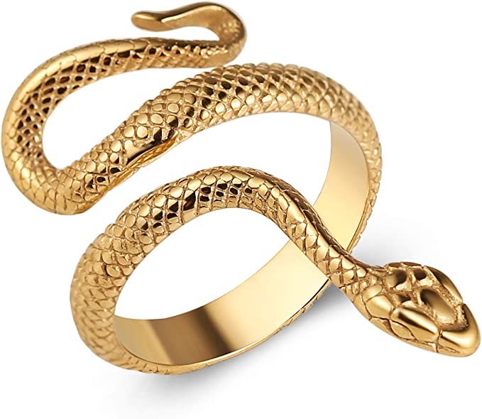 HZMAN Snake Ring Men Women Gothic Jewelry Retro Animal Fashion Personality Stainless Steel Ring | Amazon (US)