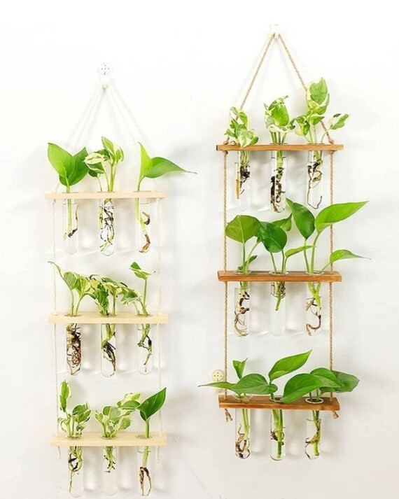 Hanging Propagation Station With Free Shipping | Etsy | Etsy (US)
