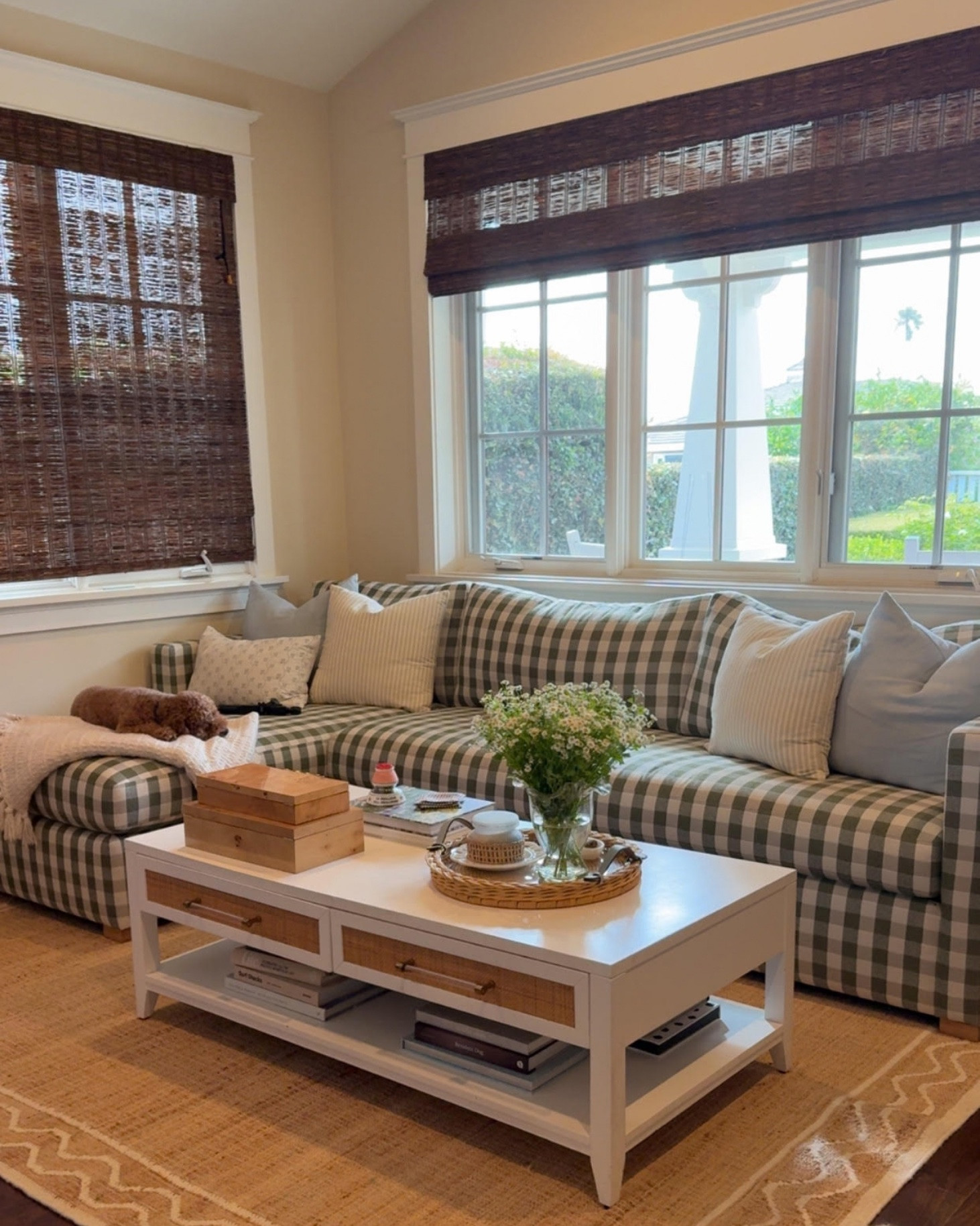 A patterned couch is the star of the show in our coastal cottage tv room
Check out the full home makeover process on my YouTube channel!

coastal cottage aesthetic, coastal cottage decor, library room decor, sitting room decor, home library, home office nook, writers desk, writing desk area, home makeover, coastal home makeover, coastal interior design, cottage style home, cozy reading room, reading nook, built in bookshelves, built in bookcase, floor to ceiling bookshelves, white bookshelves, colorful bookshelves, bookshelf styling, book collection decor, library wall, wicker storage baskets, woven baskets, rattan furniture, rattan writing desk, wicker desk, upholstered desk chair, skirted desk chair, gingham sofa, green gingham furniture, gingham chair, coastal neutral decor, blue and green home decor, woven roman shades, decorative wall plates, scalloped mirror, floral coffee table decor, wicker tray decor, green blue and white color scheme, green blue white home decor, green and white color palette, blue and white accents, coastal green and blue decor, sage green interiors, soft blue home accents, classic green and white decor, fresh coastal color palette, timeless coastal colors, bookshelf decorating ideas, bookshelf styling ideas, bookshelf organization, bookcase organization ideas, built in bookshelf styling, built in bookcase decor, styled bookshelves, colorful bookshelf decor, organized bookshelves, bookshelf decor ideas

#LTKvlog #LTKdayinmylife #LTKHome