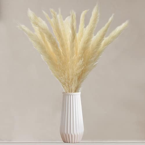 TURNMEON 30 Bundles 17.7 Inch Fall Natural Dried Pampas Grass for Home Decor Fluffy Stems Fall Pa... | Amazon (US)