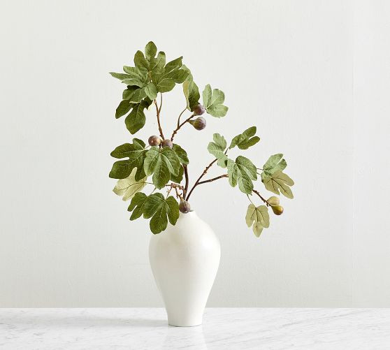 Faux Green Fig Branch | Pottery Barn (US)