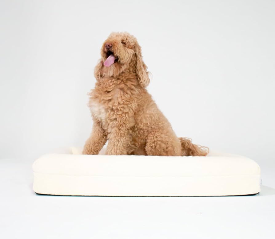 Dazy Dog Orthopedic Dog Bed - Water Resistant & Washable Pet Bed for Small, Medium, and Large Dog... | Amazon (US)
