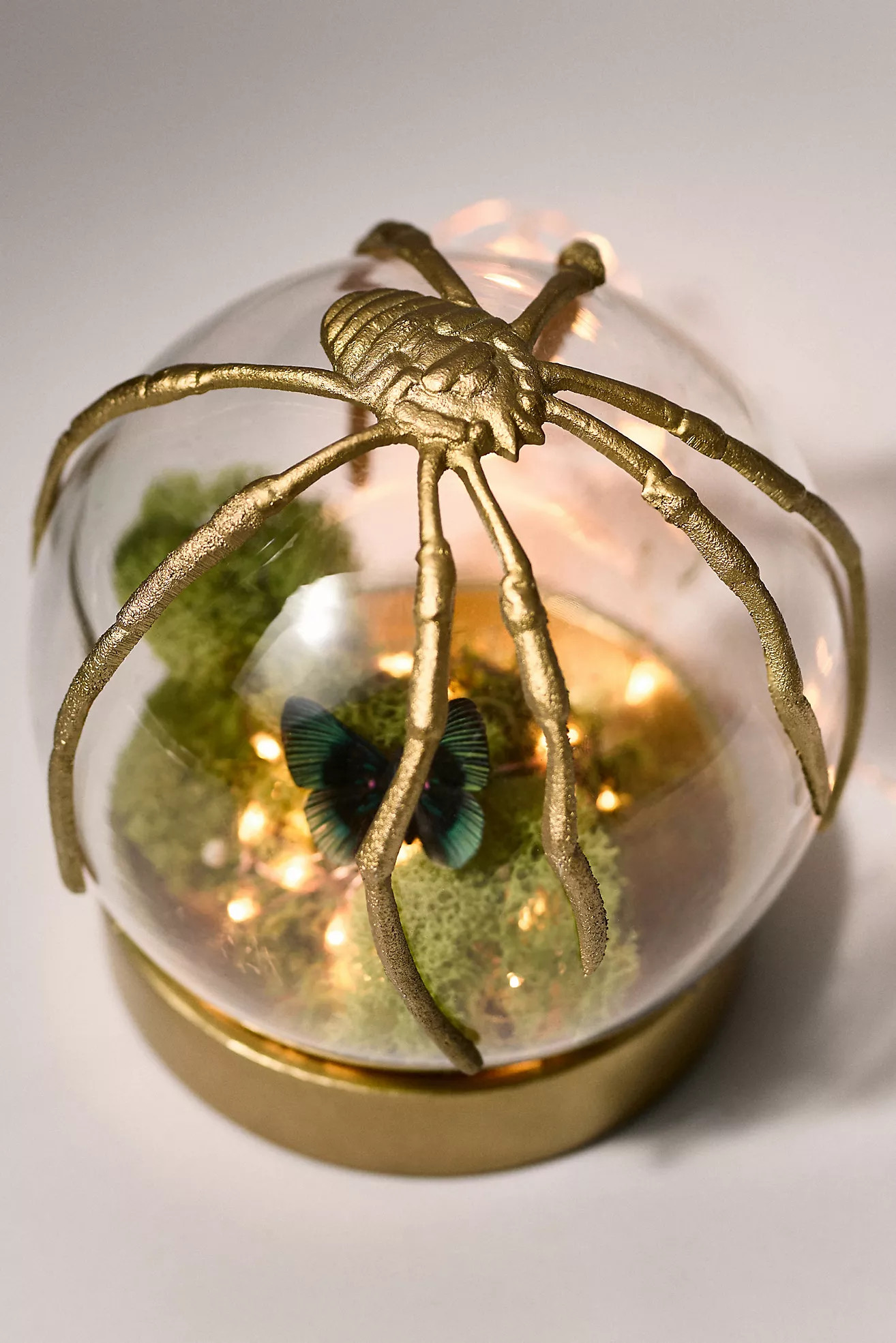Spider Cloche Terrarium | Anthropologie (US)