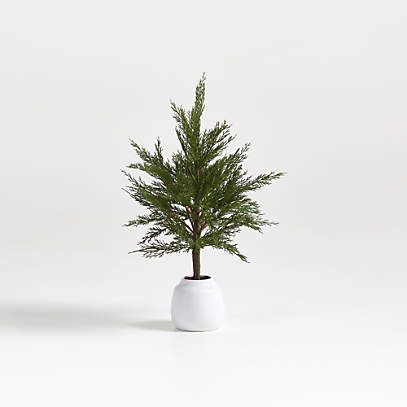 Faux Potted Cypress Tree 24" | Crate & Barrel